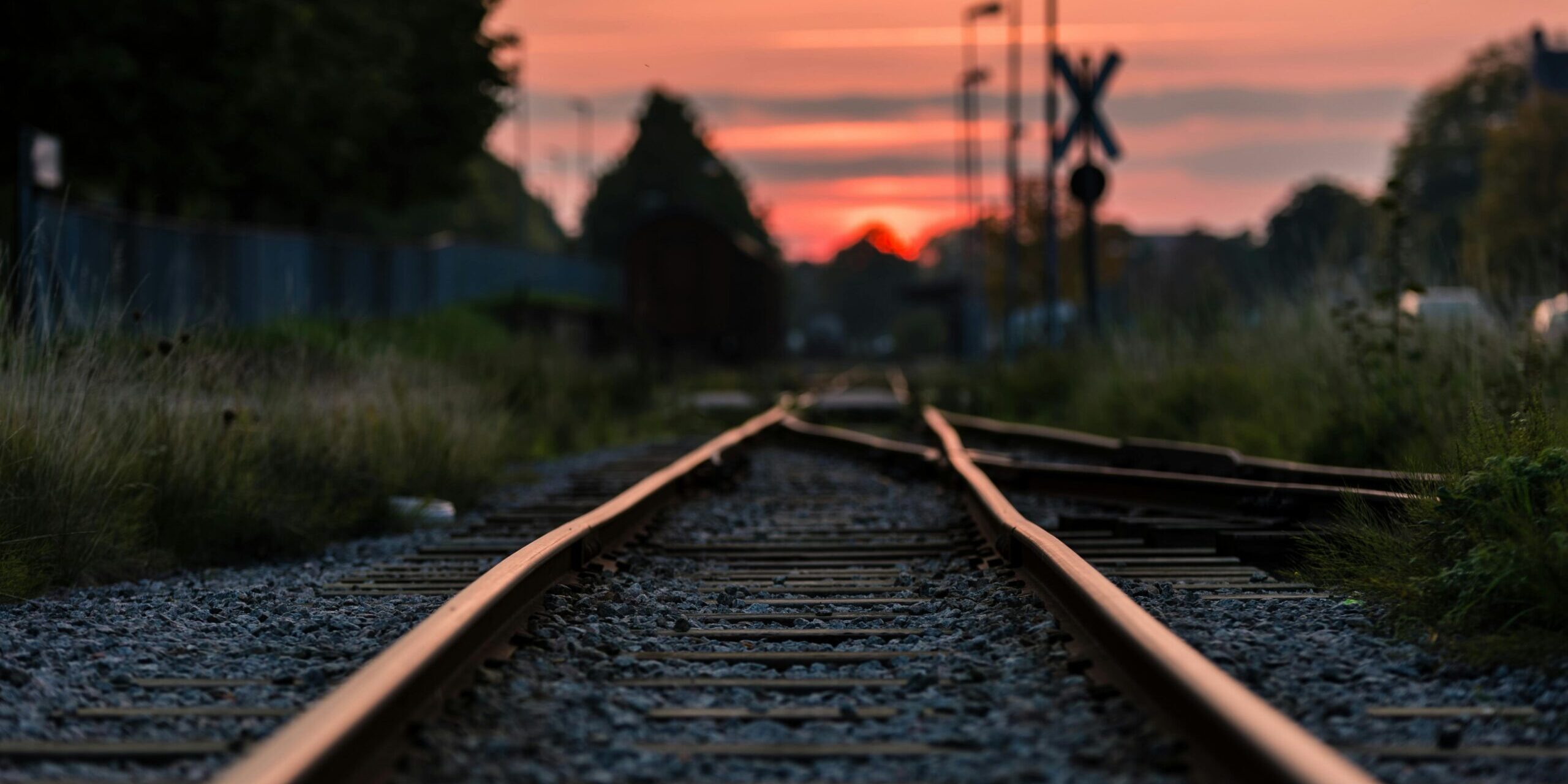 pexels-albinberlin-892541